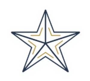 estrella icono
